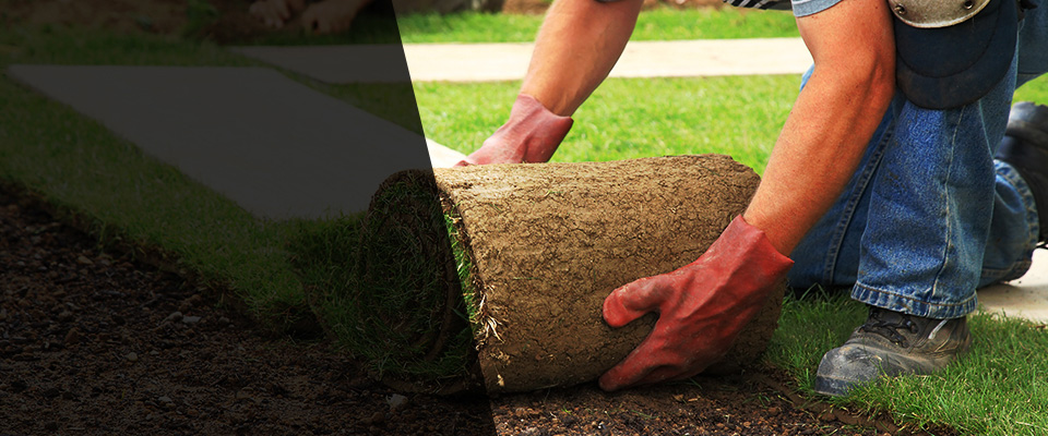 Schenectady Landscapers